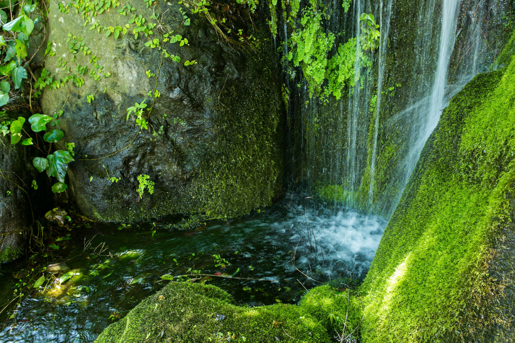 Yugawara-Onsen Manyoso Ξενοδοχείο Εξωτερικό φωτογραφία